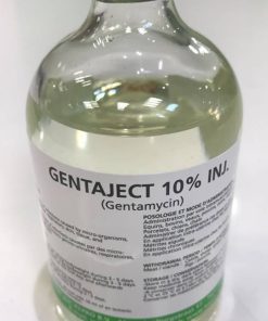 GENTAJECT 10% INJECTION