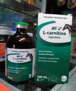 L-CARNITINE