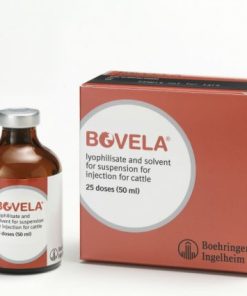 Bovela