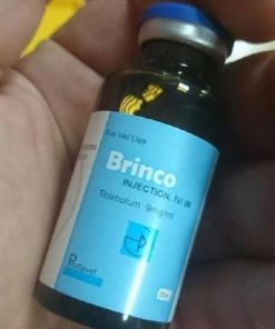 Brinco