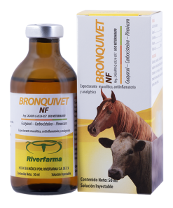 Bronquivet