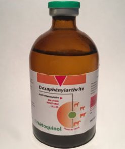 Dexaphenylarthrite