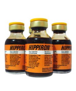 Hippiron