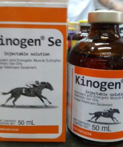 Kinogen SE
