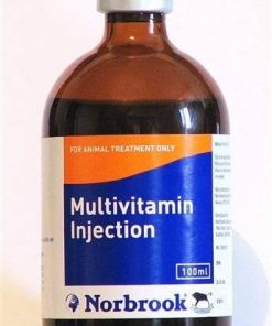 Multivitamin Injection