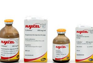 Naxcel 100 mg/ml Suspension for Injection
