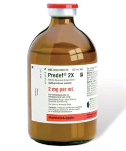 Predef 2X