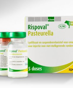 Rispoval Pasteurella 25d