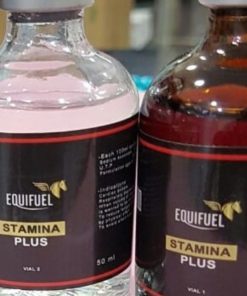 Stamina plus